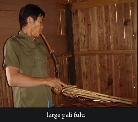 pali fulu player